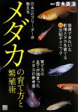 日本一のブリーダーが教えるメダカの育て方と繁殖術